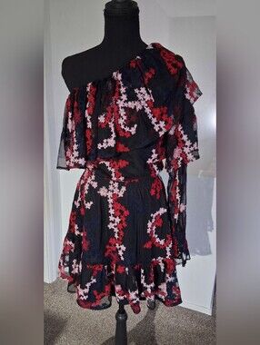 Devlin One-Shoulder Black Floral Ruffled Dress